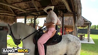 Rachel Starr'S Impressive Horse Riding Skills And Penis Riding Skills