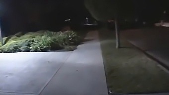 Wild Sex Party With Multiple Partners
